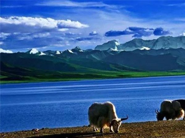 非洲十國(guó)考察團(tuán)蒞臨我公司考察訪問