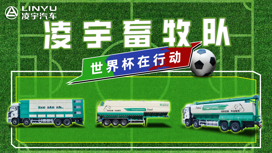 奪冠世界杯！你注意到這支球隊(duì)了嗎？